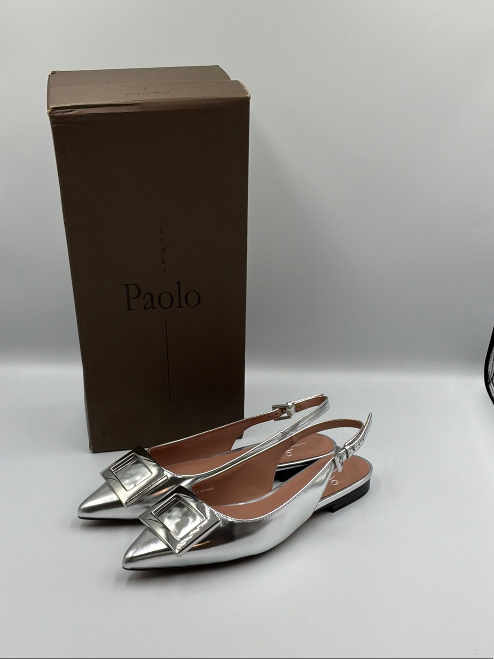 Linea Paolo Silver Pointed Slingback Flats with Buckle Accent